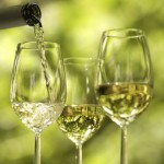 Vinný sklípek s ubytováním - degustace vína